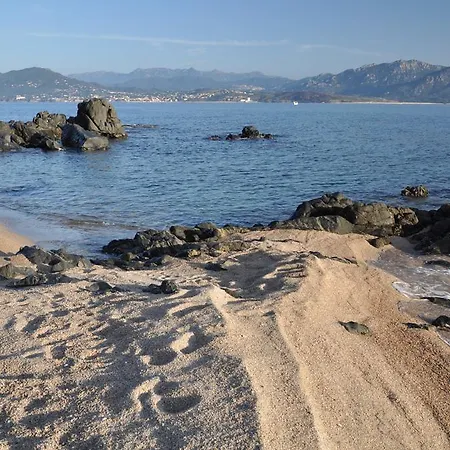 Apartment Les Palmiers Olmeto (Corsica)